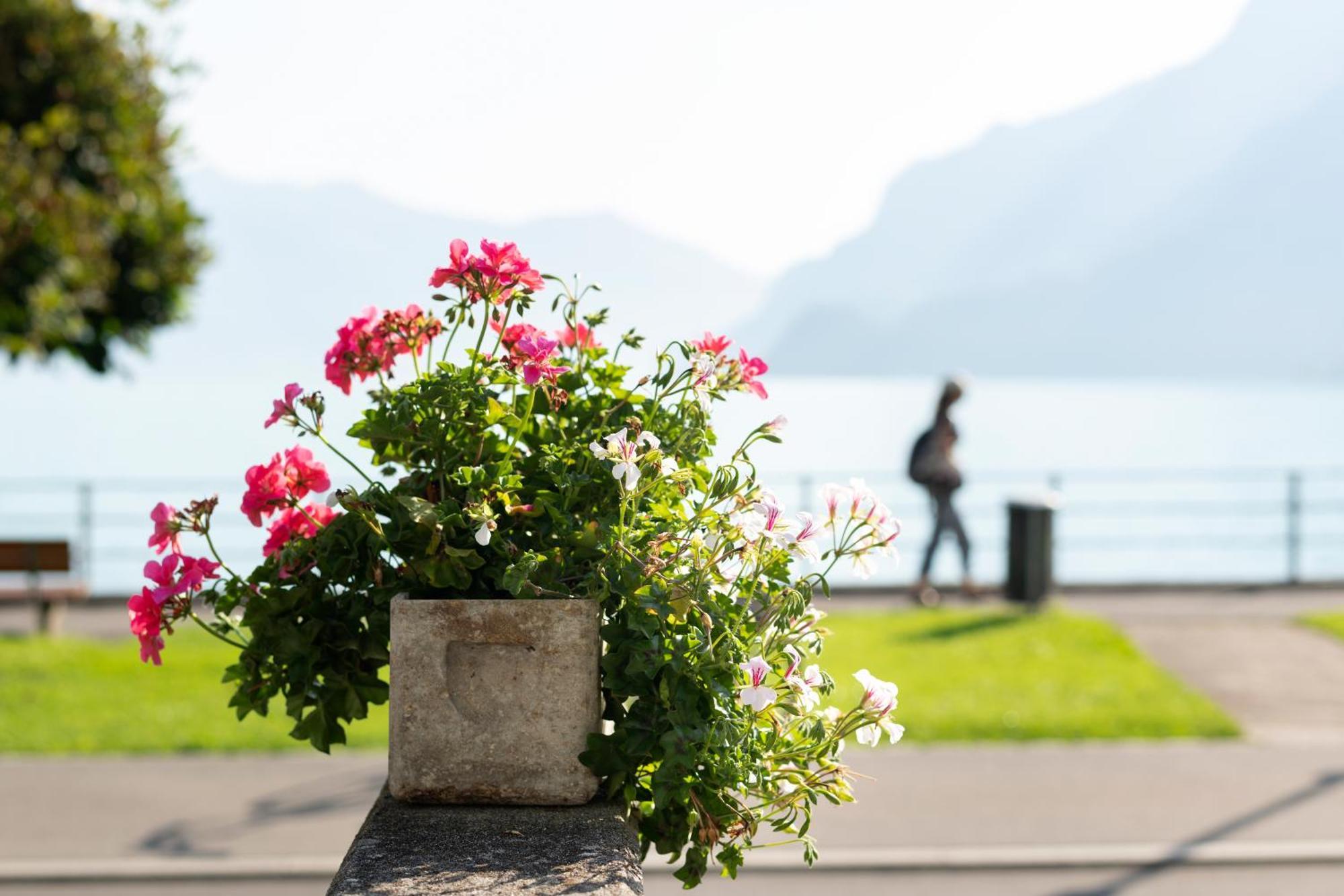 Seiler Au Lac Bönigen Esterno foto